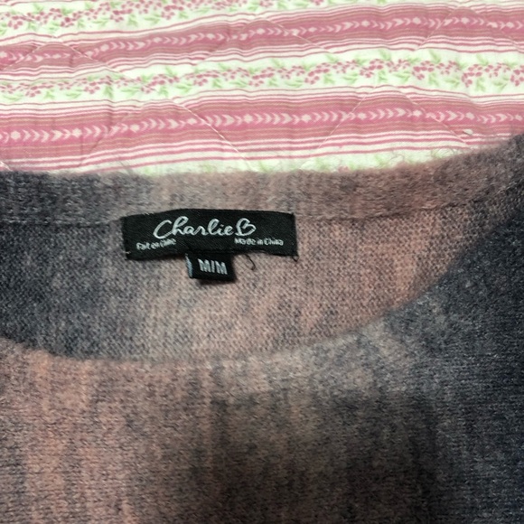 CHARLIE B Pink and Gray Knit Top - Picture 3 of 11